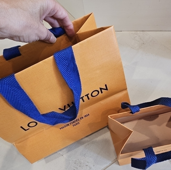 Louis Vuitton Set of 4 Shopping Bags Various Sizes - Picture 7 of 11